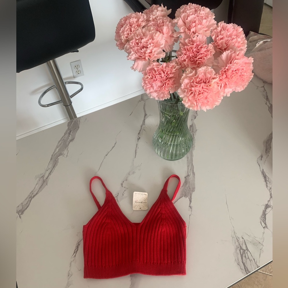 Free People Corset Detail Swit Cami Sarah Cameron Outerbanks